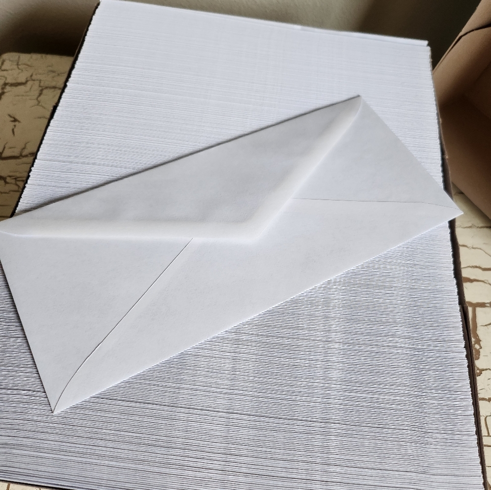 Security Envelopes *See Description - Picture 3 of 3